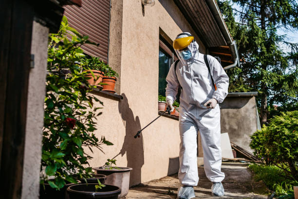 Best Pest Removal Services  in Bernalillo, NM