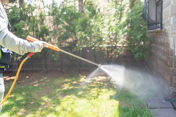 Best Best Pest Control Companies  in Bernalillo, NM