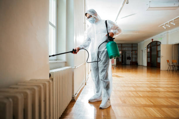 Best Pest Control for Homes  in Bernalillo, NM